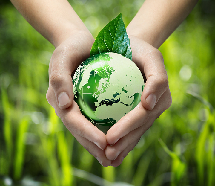 專業(yè)除蟲消毒公司