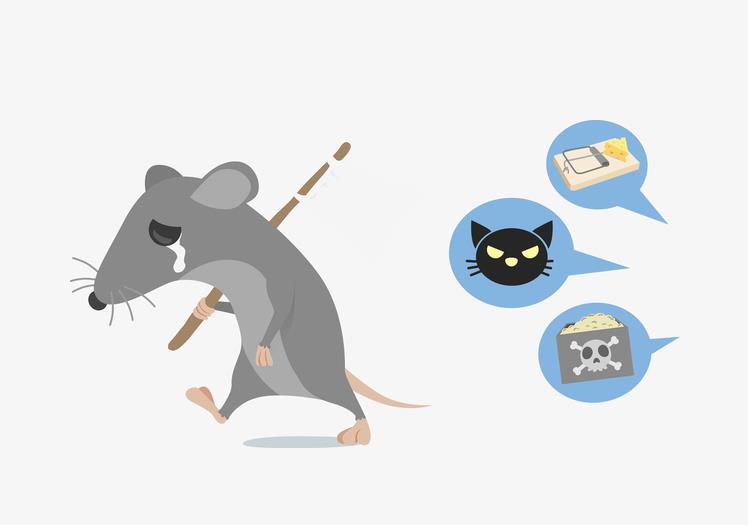 春季朝陽(yáng)區(qū)滅鼠常用什么藥？有哪些注意事項(xiàng)？